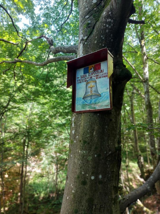 Vila Casuta Din Rusca Sebesu de Jos Exteriér fotografie