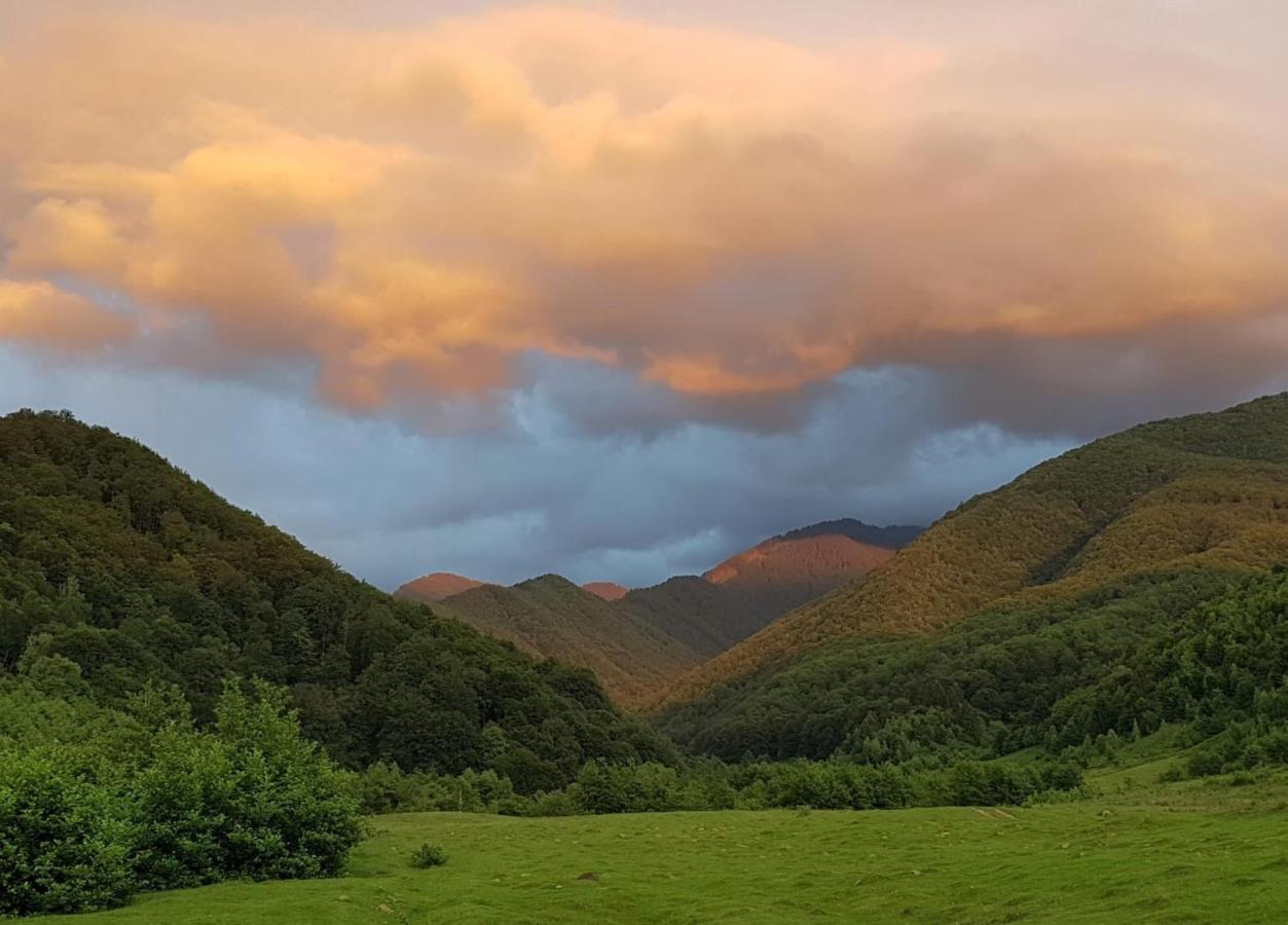 Vila Casuta Din Rusca Sebesu de Jos Exteriér fotografie