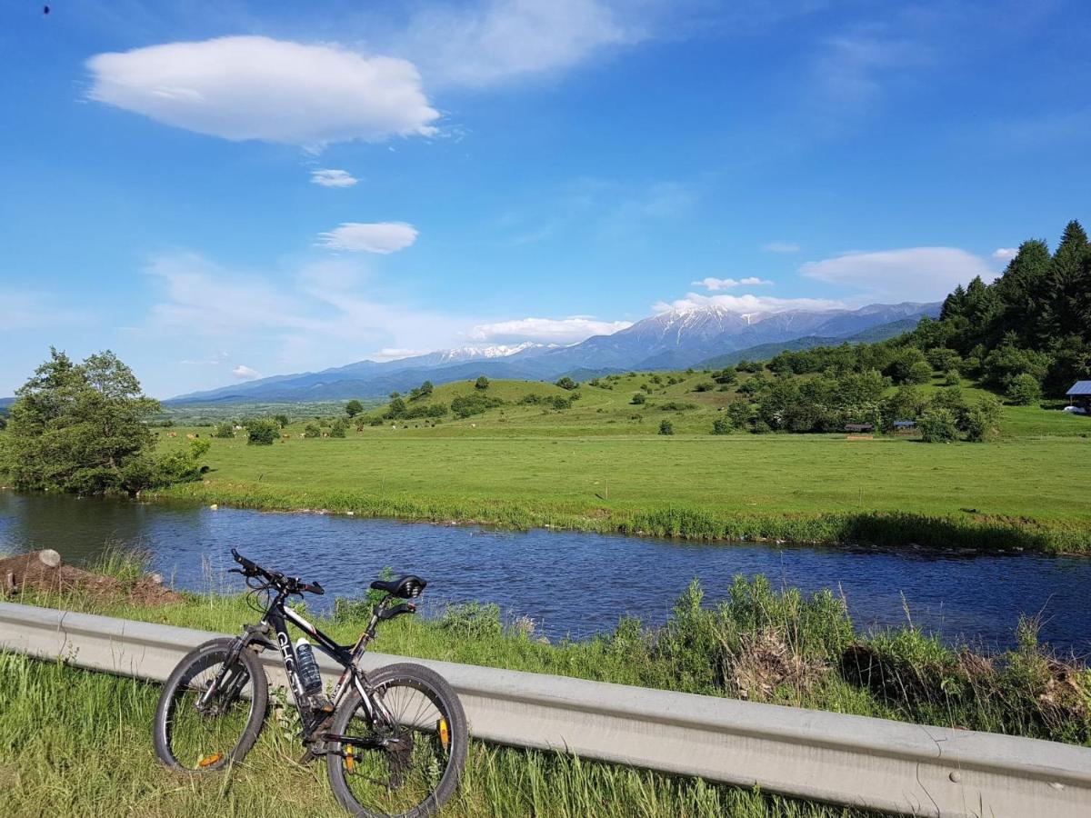 Vila Casuta Din Rusca Sebesu de Jos Exteriér fotografie