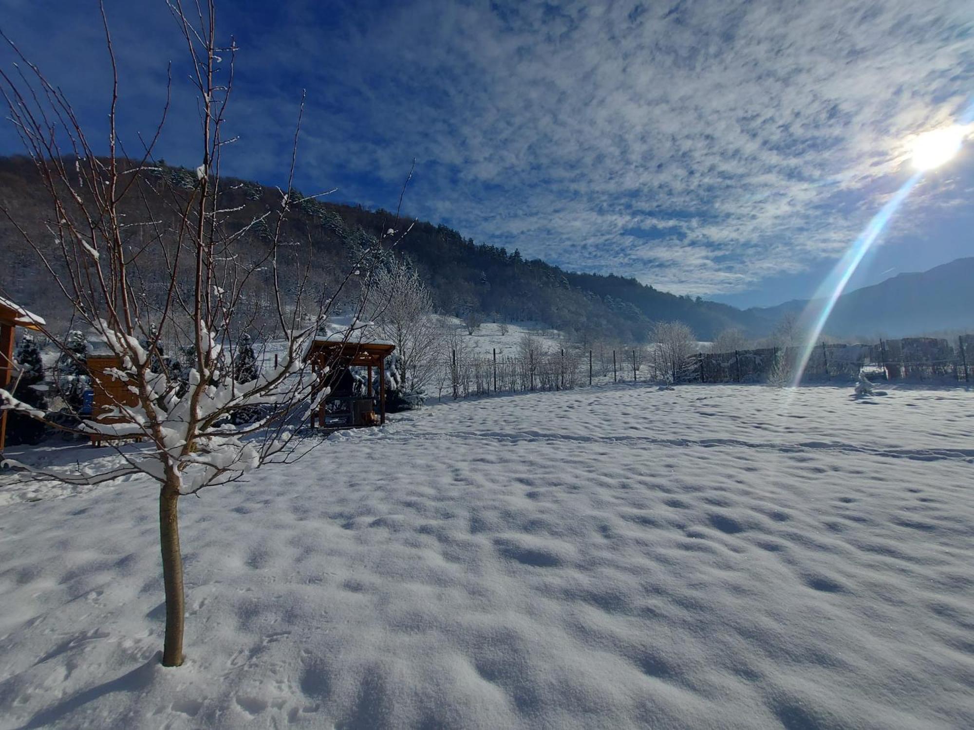 Vila Casuta Din Rusca Sebesu de Jos Exteriér fotografie