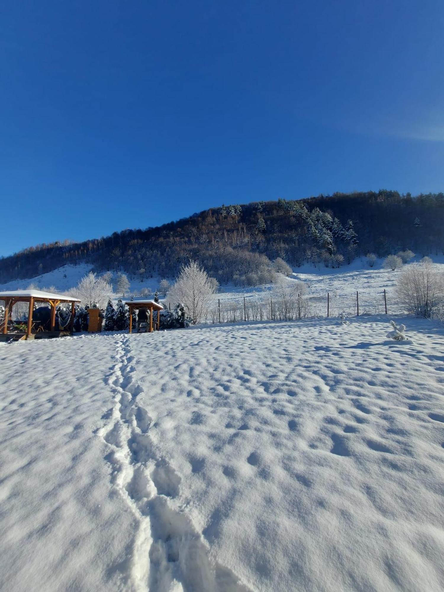 Vila Casuta Din Rusca Sebesu de Jos Exteriér fotografie